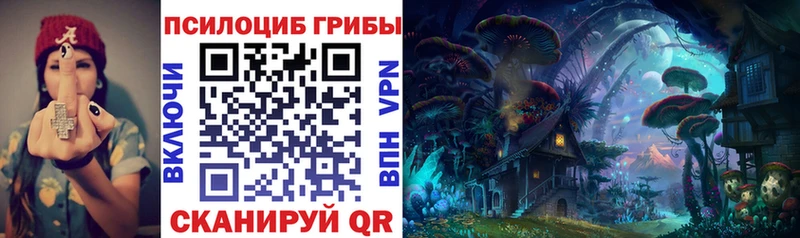 Купить  Пушкино  Псилоцибиновые грибы Cubensis 